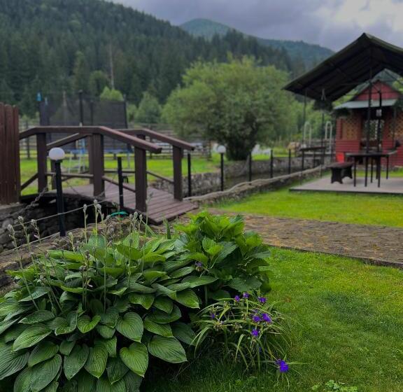 بنسيون Svitlana