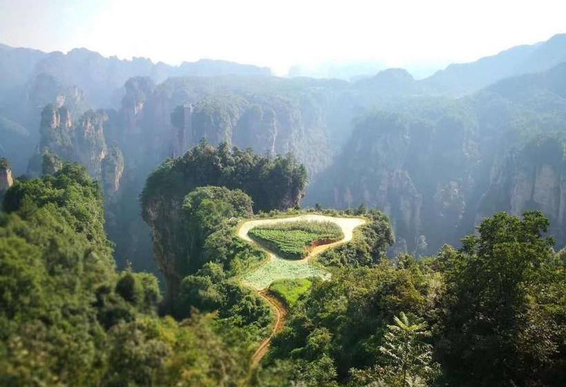 פנסיון Reclusive Inn