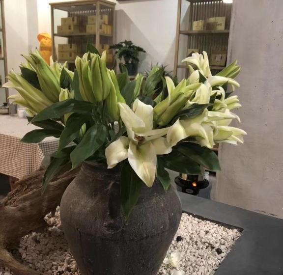 פנסיון Reclusive Inn