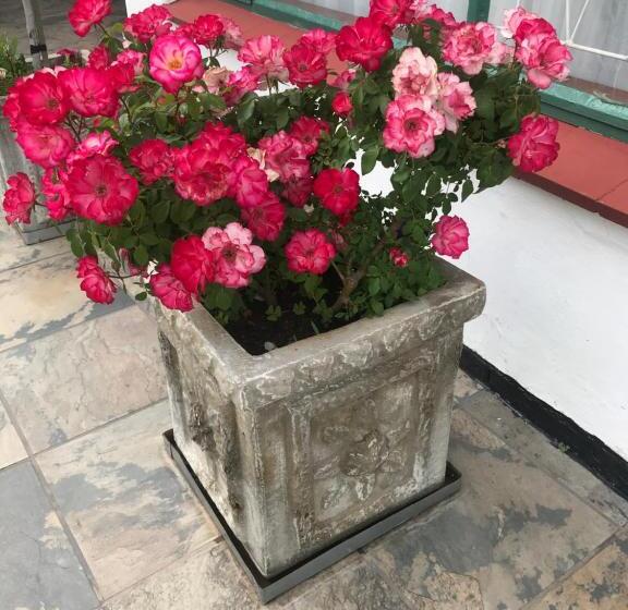 بنسيون Colesview Guest House