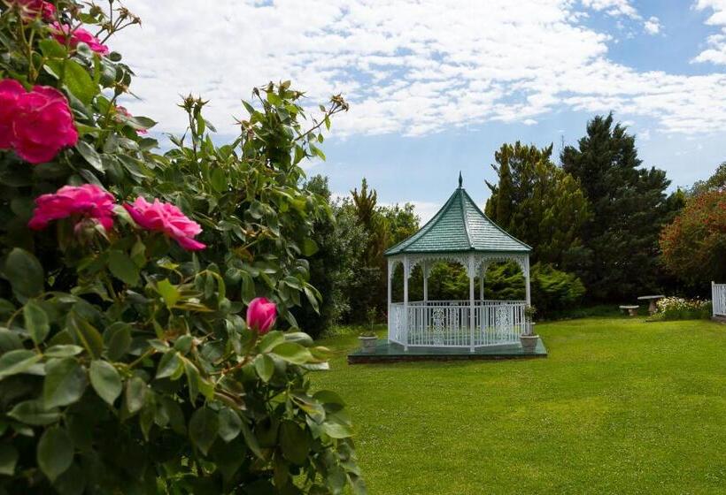 بنسيون Colesview Guest House