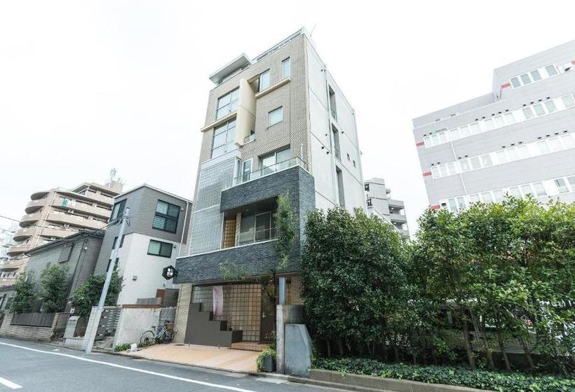 بنسيون Kameciti