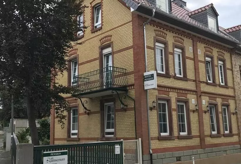 Pension Alt Gunsenum