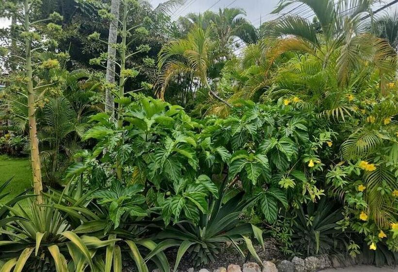 پانسیون Boca Del Paraiso