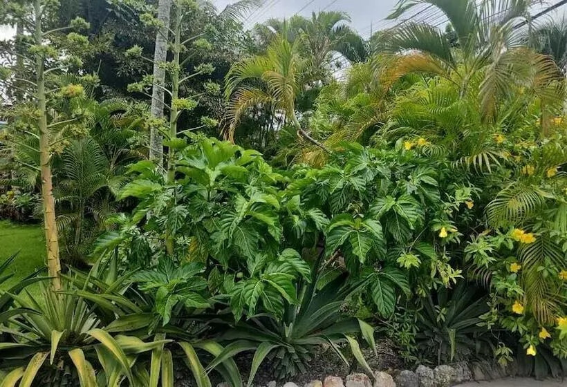 Majatalo Boca Del Paraiso