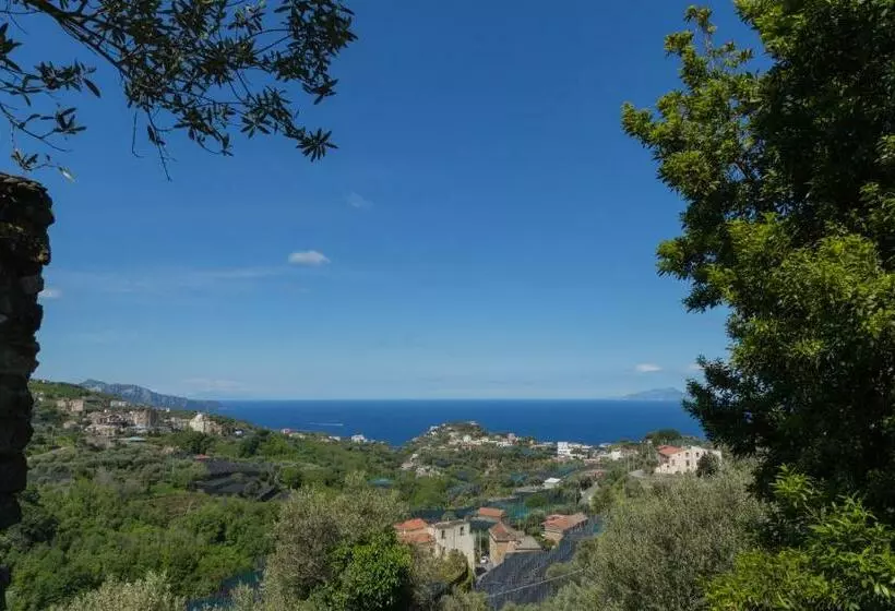 Hotelli Villa Il Turro