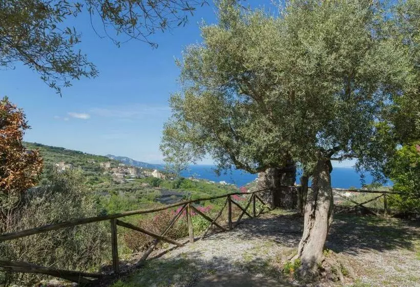 Hotelli Villa Il Turro
