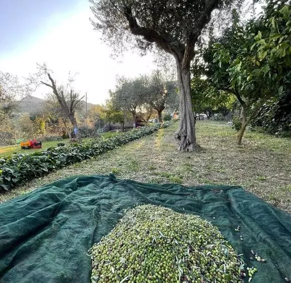Hotelli Villa Il Turro