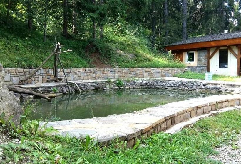 פנסיון Penzión Racibor