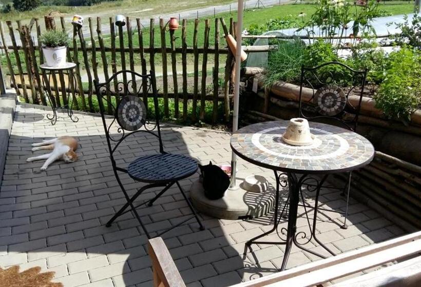 פנסיון Penzión Racibor