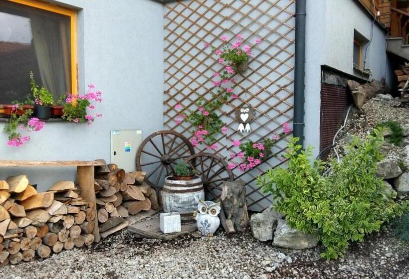 פנסיון Penzión Racibor