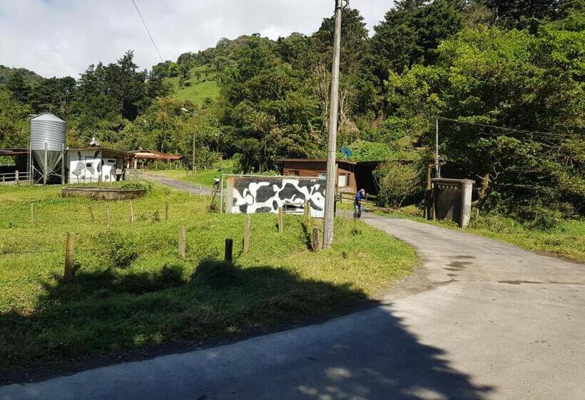 ホテル Finca Terra Viva