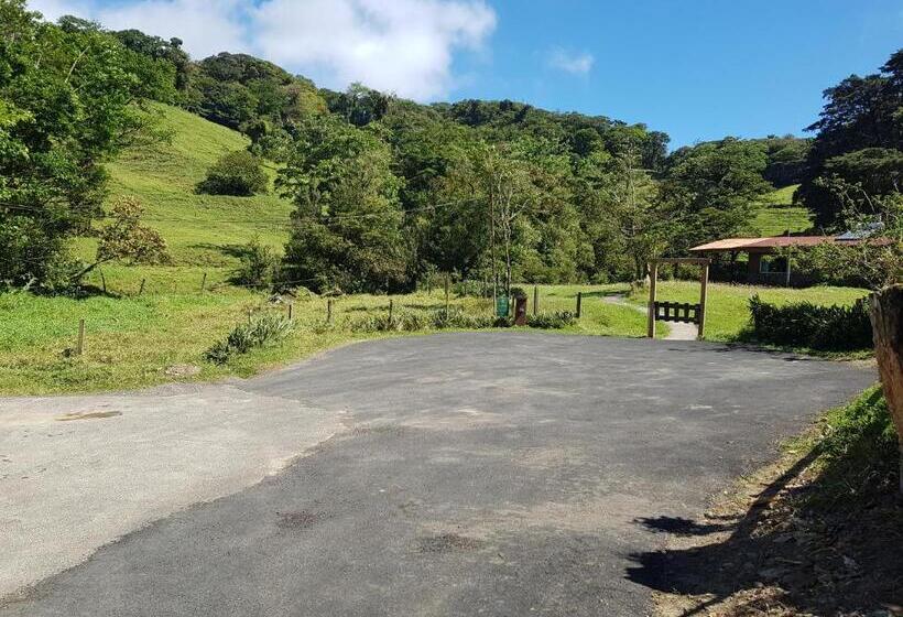 ホテル Finca Terra Viva