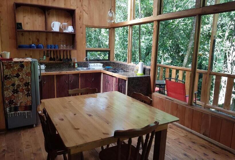 ホテル Finca Terra Viva