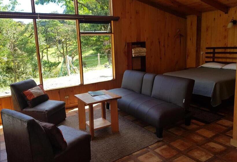 ホテル Finca Terra Viva