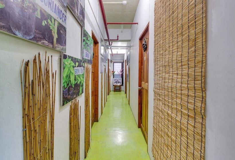 בית מלון כפרי Reddoorz @ Zapatera Cebu