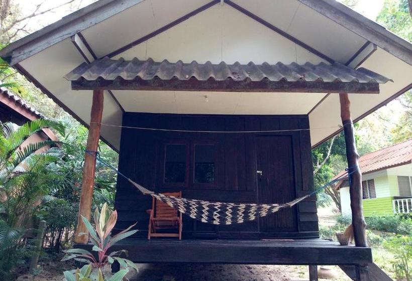 ユースホステル Banana Resort