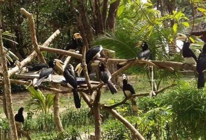 Retkeilymaja Banana Resort