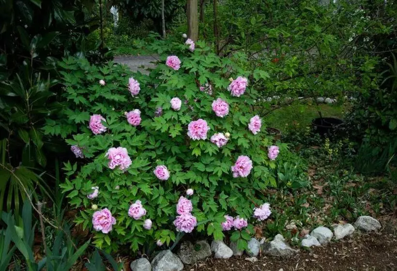 Aamiaismajoitus (B&B) El Rincon Del Artista