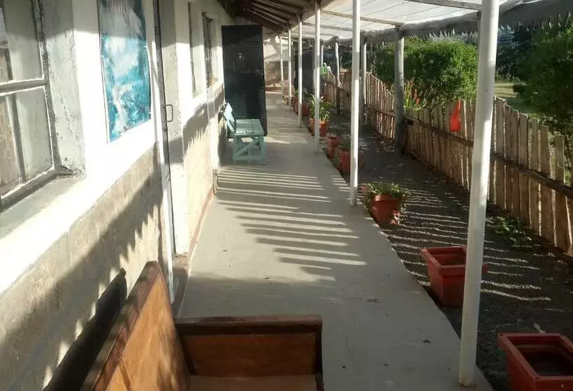 تختخواب و صبحانه Firebird Inn