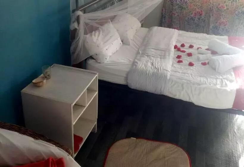 تختخواب و صبحانه Firebird Inn