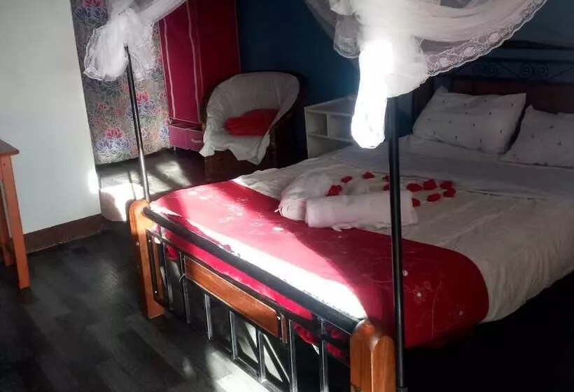 تختخواب و صبحانه Firebird Inn