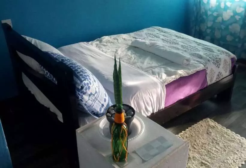 تختخواب و صبحانه Firebird Inn