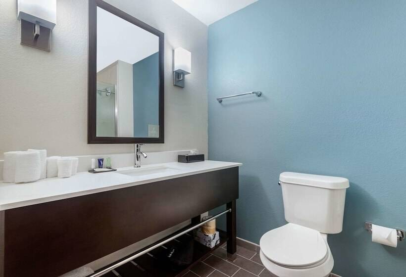 فندق Sleep Inn & Suites Bricktown   Near Medical Center