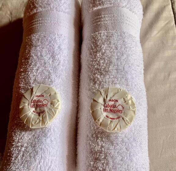 پانسیون Cabaña Los Nogales