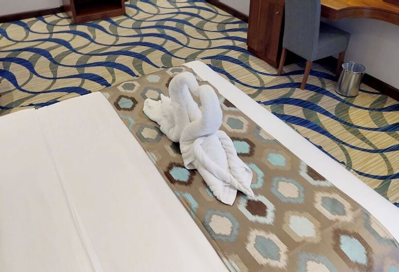 בית מלון כפרי City View