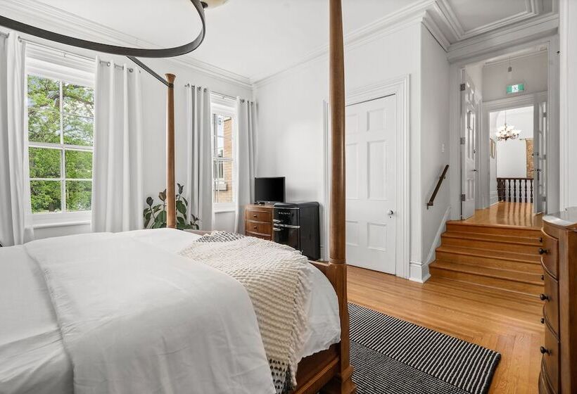 פנסיון The Cape