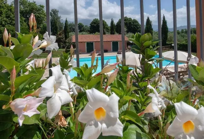 تختخواب و صبحانه Relais Villa Isabel