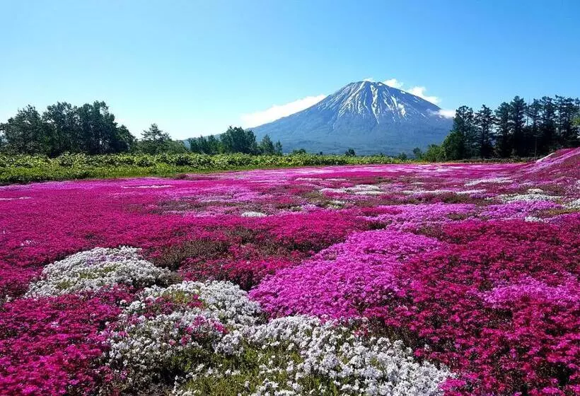 ホテル Midtown Niseko