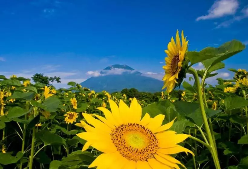 ホテル Midtown Niseko