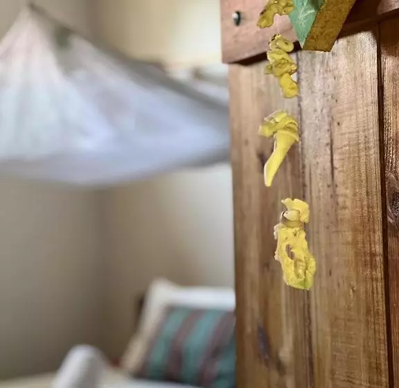 Aamiaismajoitus (B&B) Mawingu Lodge