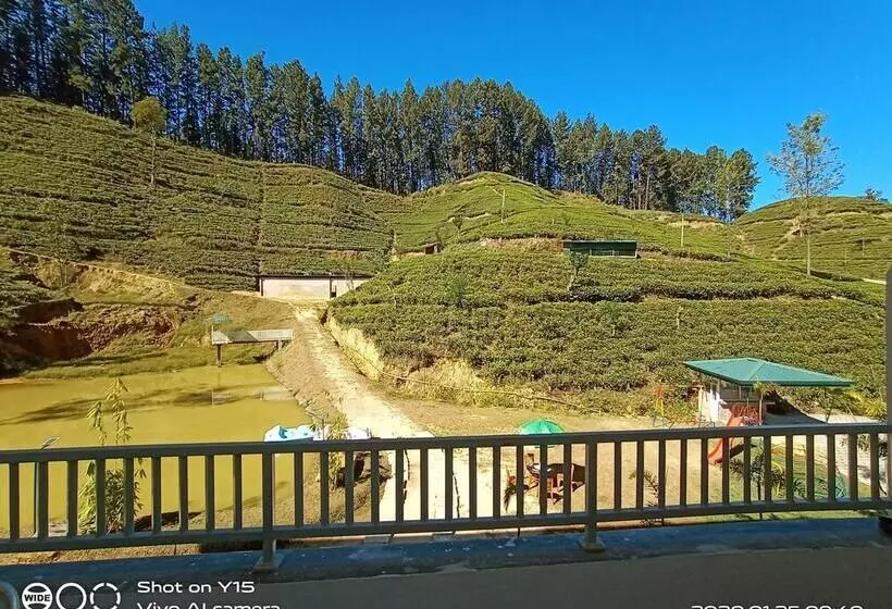 ホテル Trinitons Tea View Lake Resort