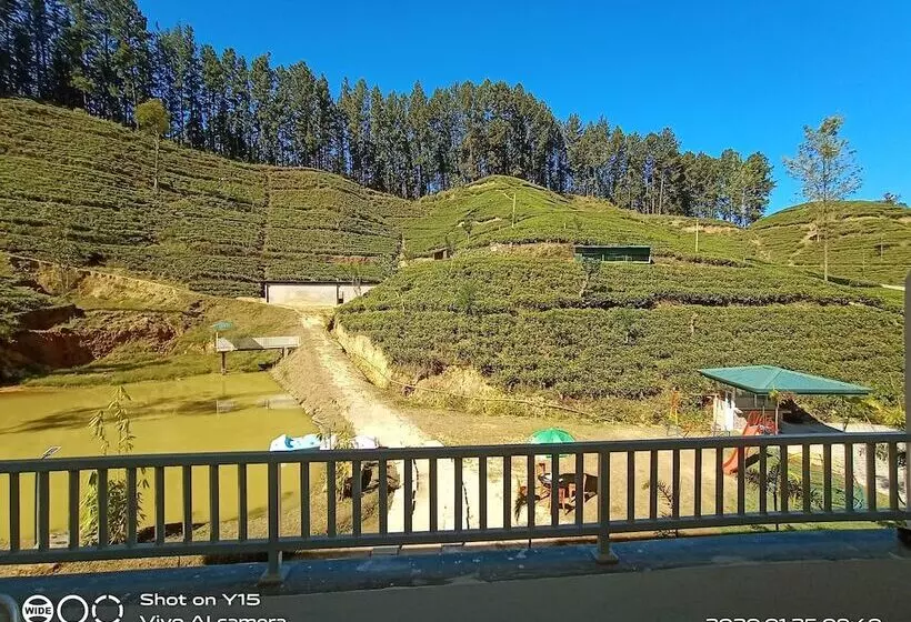 ホテル Trinitons Tea View Lake Resort