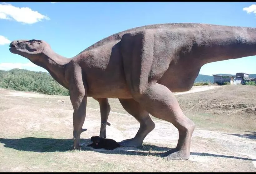 Retkeilymaja Rural Del Médico