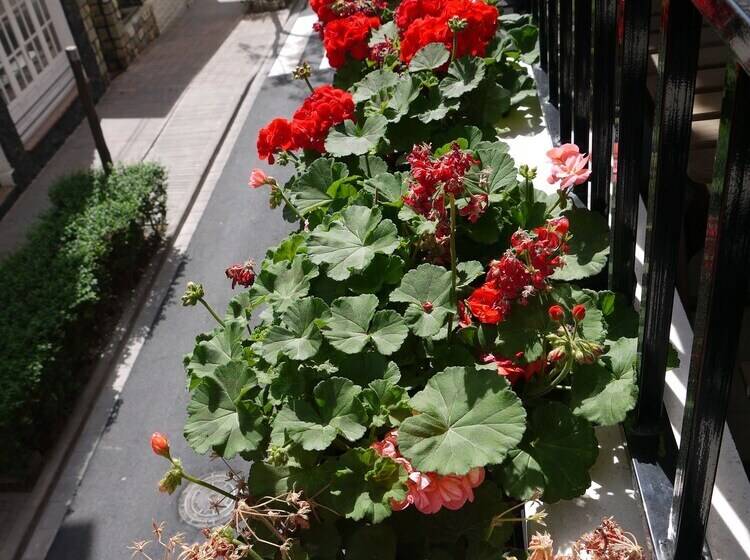 צימר Maravillas Del Mundo