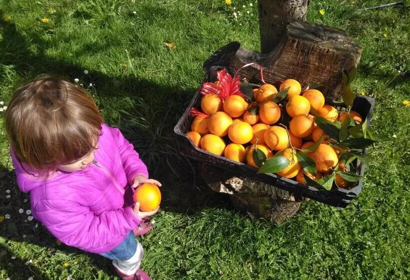 هتل Agroturismo La Casona De Belmonte