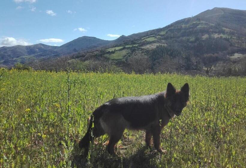 בית מלון כפרי Agroturismo La Casona De Belmonte