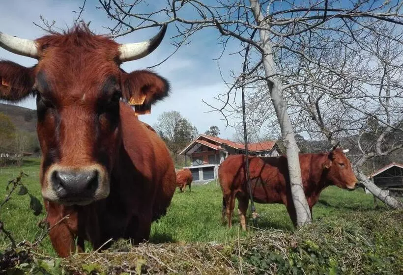 هتل Agroturismo La Casona De Belmonte