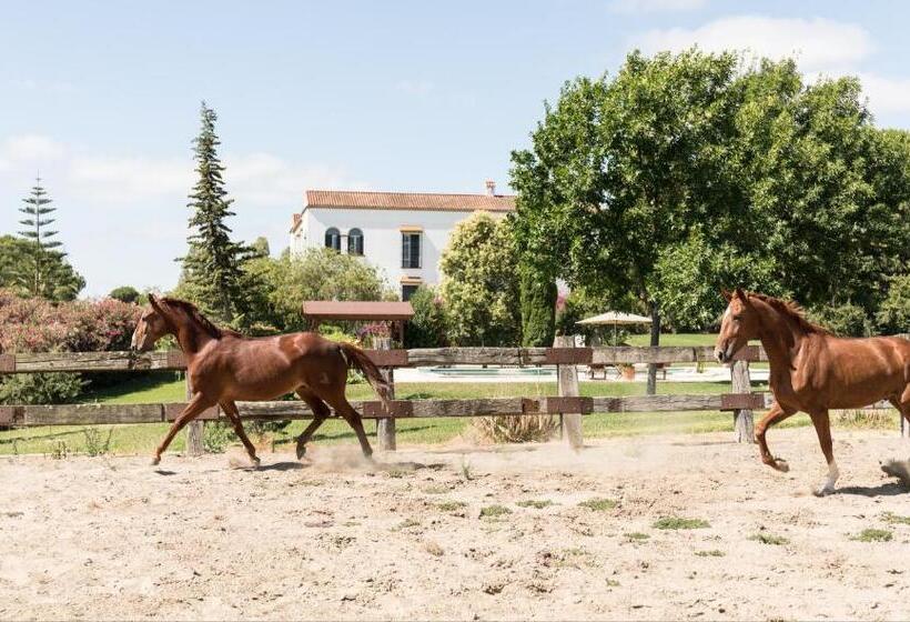 צימר Hacienda Las Tres Niñas
