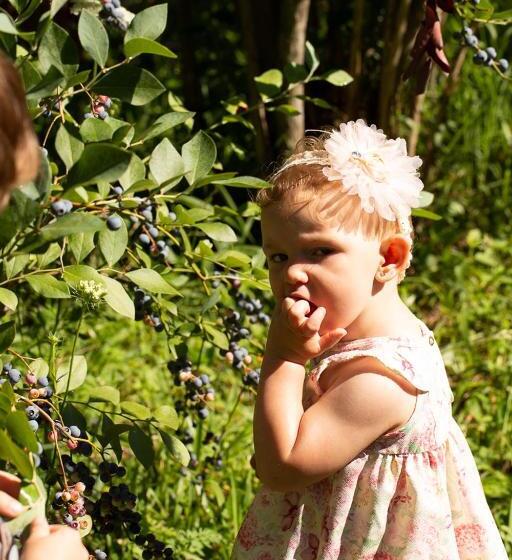 Dona Adelia Hotel E Restaurante