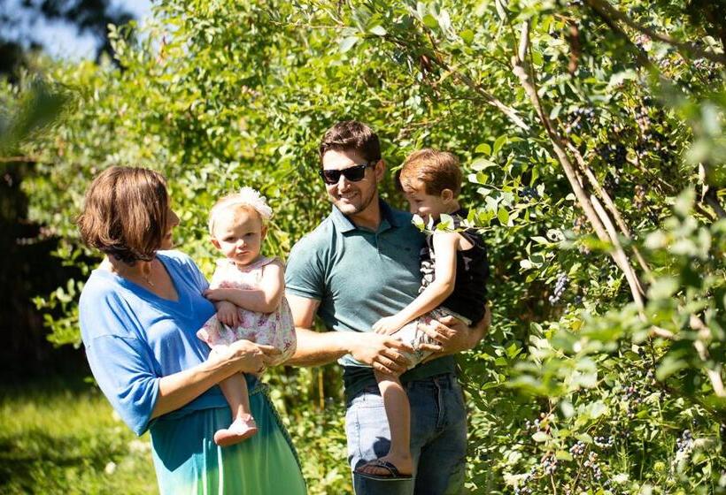 Dona Adelia Hotel E Restaurante