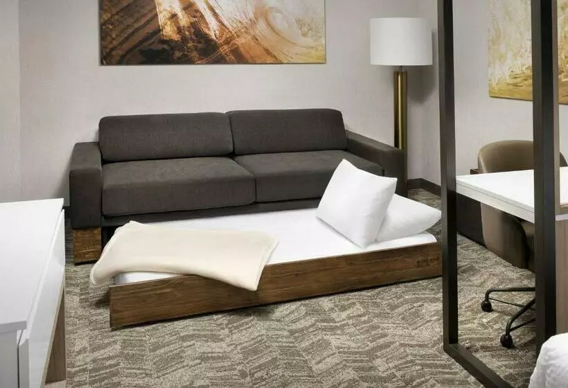 ホテル Springhill Suites By Marriott Loveland Fort Collins/windsor