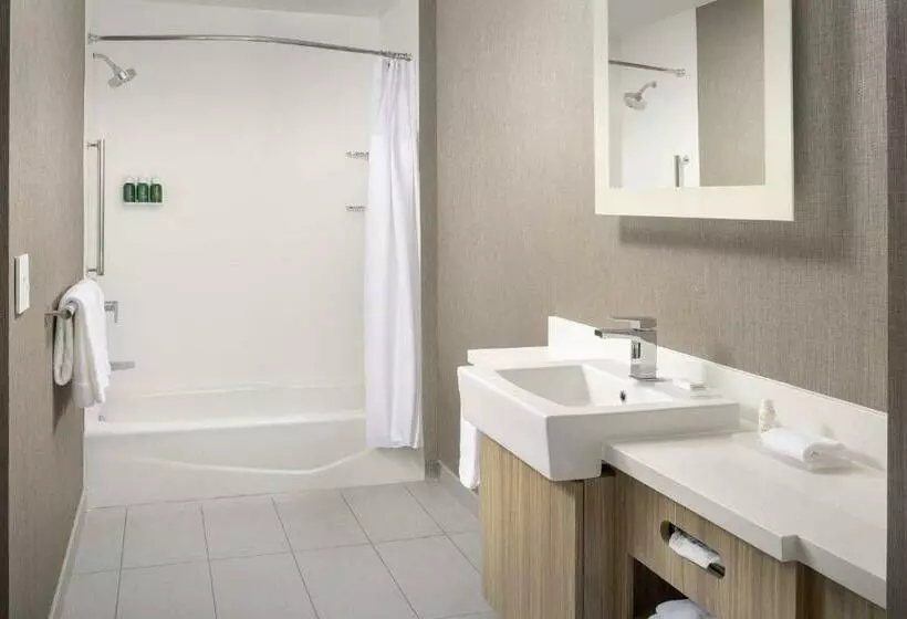 ホテル Springhill Suites By Marriott Loveland Fort Collins/windsor