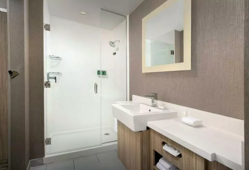 ホテル Springhill Suites By Marriott Loveland Fort Collins/windsor