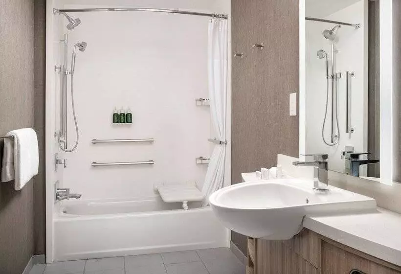 ホテル Springhill Suites By Marriott Loveland Fort Collins/windsor