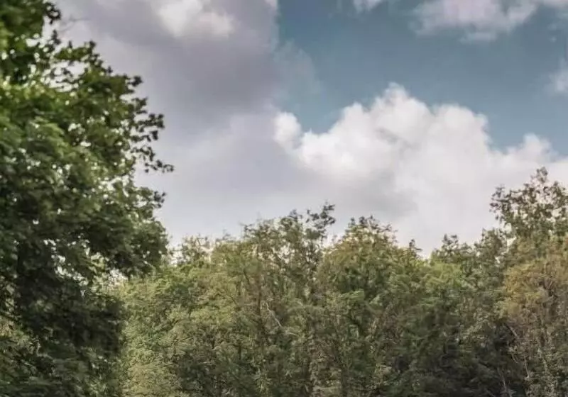 Hotelli Volvic Organic Resort